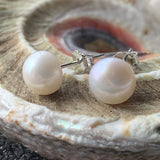 Classic Freshwater Pearl Stud Earrings